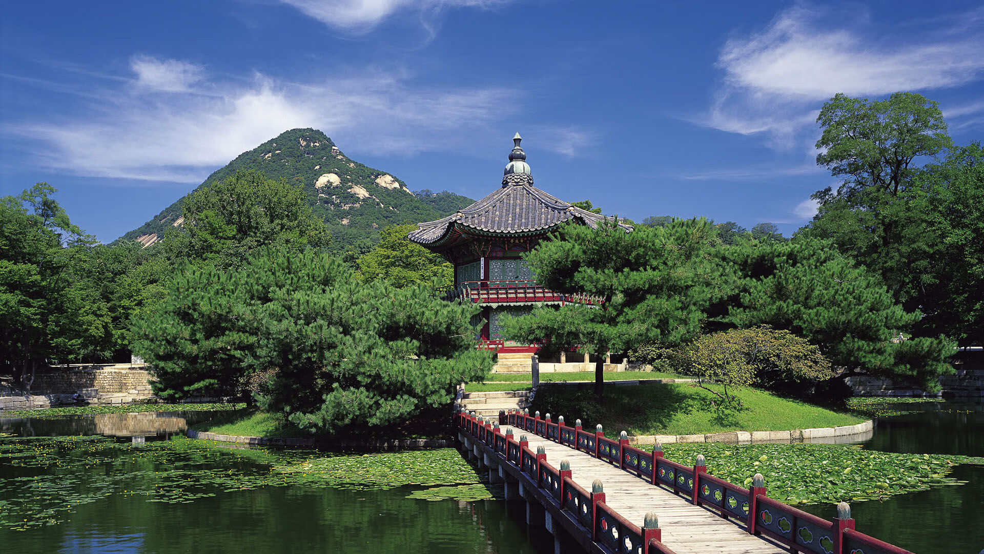 2026年世界短道速滑锦标赛 中国队在接力项目强势反弹,2021世界短道速滑比赛时间